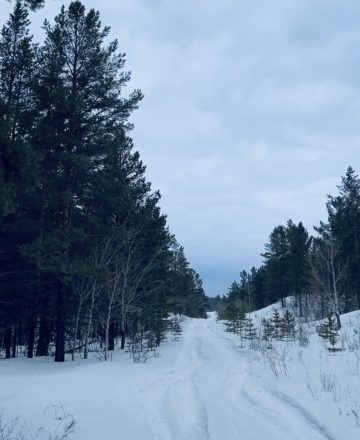 Тропа здоровья — новое место отдыха появится в Семее 