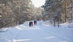 «Тропа здоровья» в Семее: готовятся новые улучшения