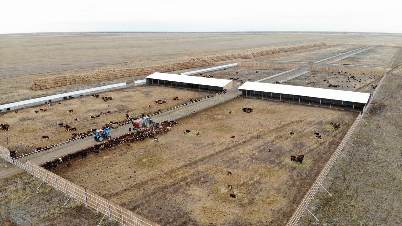 Бизнес в селах — в области Абай поддерживают предпринимателей 