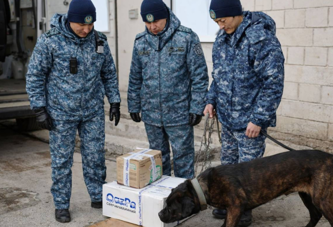Без контрабанды — в области Абай проверяют учреждения безопасности 