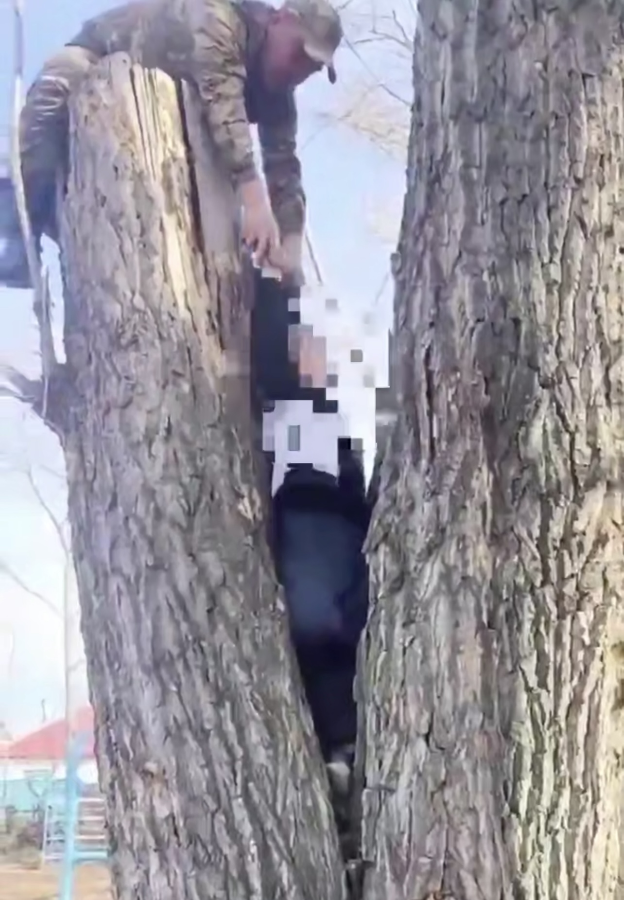 Ребёнок застрял на дереве в области Абай — на помощь&hellip;