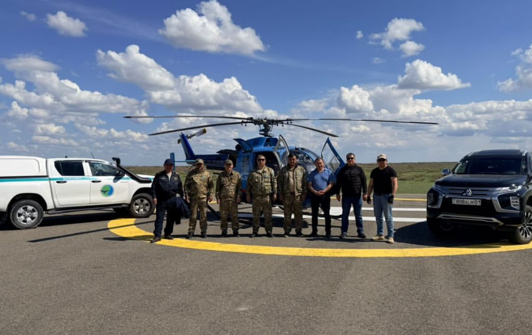 Популяция растёт — в области Абай фиксируют увеличение поголовья архаров